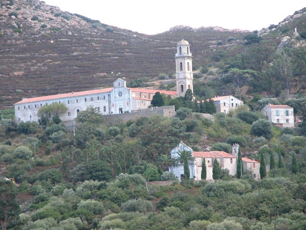 Le Bois De Capra Scorsa Villa Belgodère Buitenkant foto