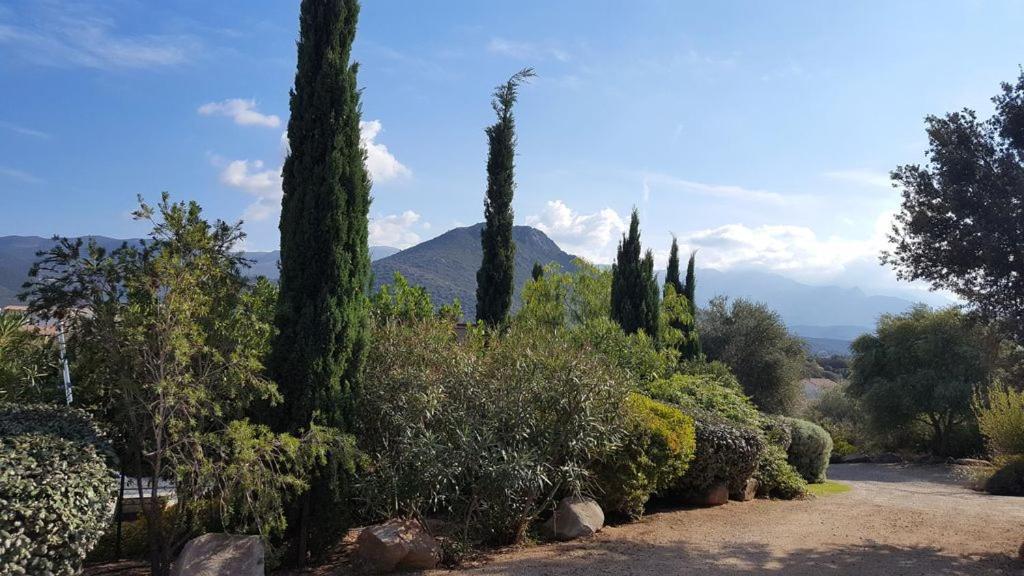 Le Bois De Capra Scorsa Villa Belgodère Buitenkant foto