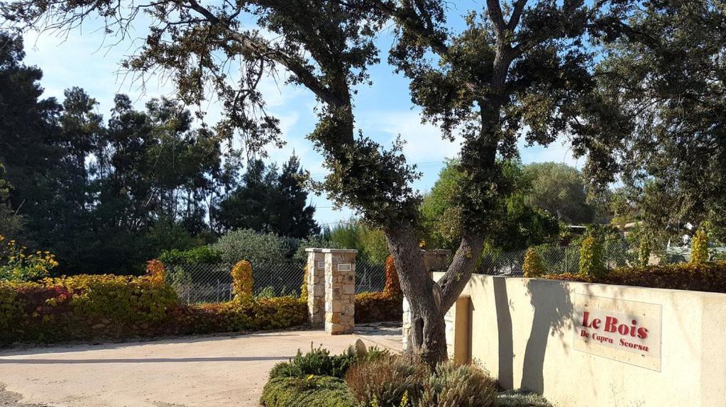 Le Bois De Capra Scorsa Villa Belgodère Buitenkant foto
